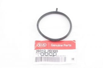 

Прокладка Дросельной Заслонки Hyundai/Kia 28313-2b300 Kia Cerato 08-> Hyundai-KIA арт. 283