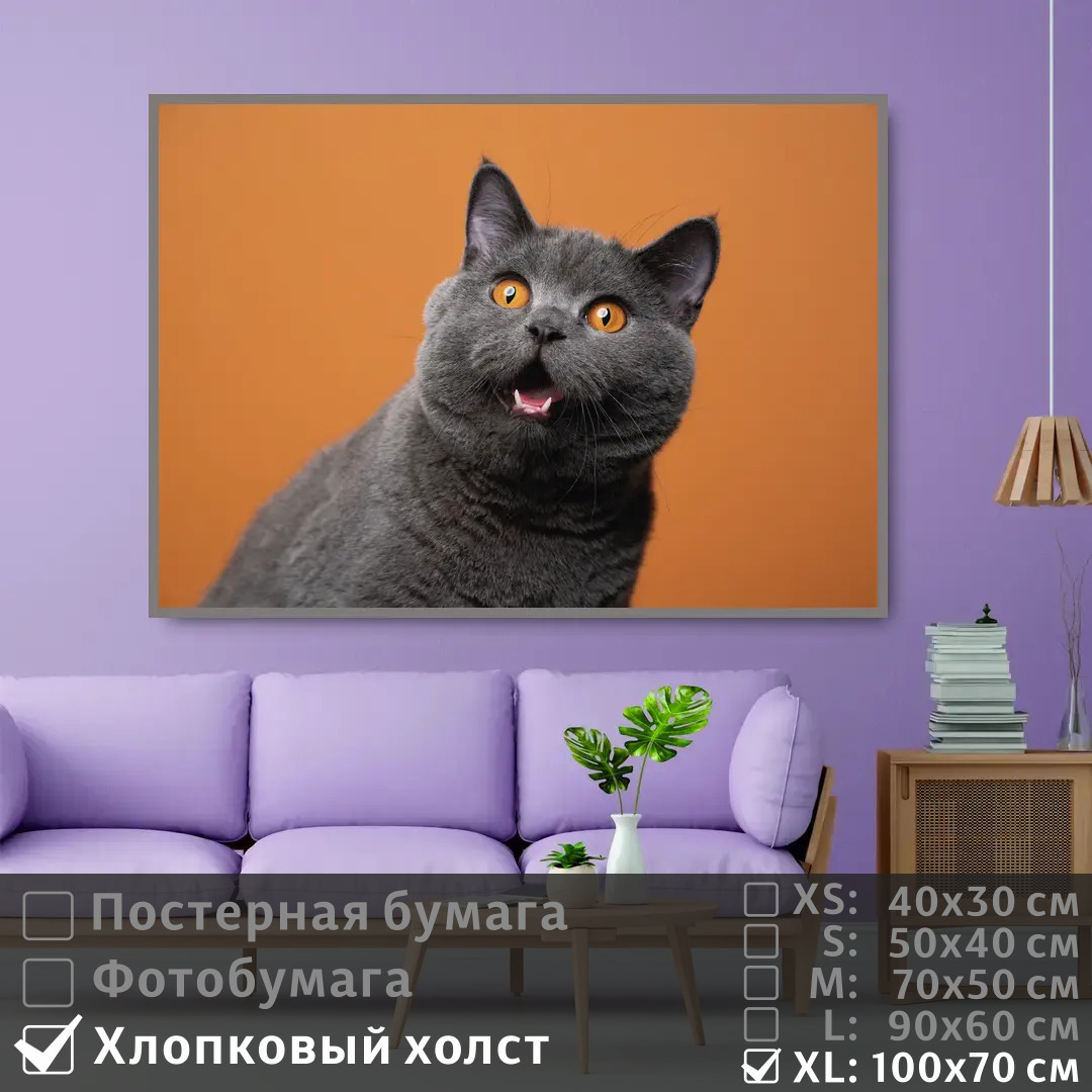 

Постер на холсте ПолиЦентр Серый британский кот 100х70 см, СерыйБританскийКот1