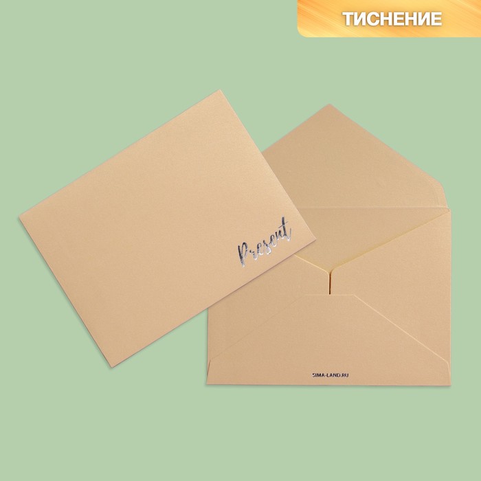 

Подарочный конверт Дарите Счастье Present for you 5 шт