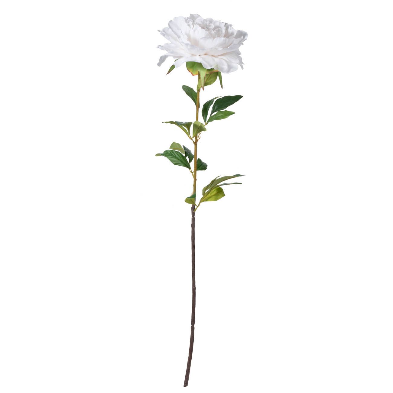 Искусственный цветок Glasar F4685-WHIT 85x20x20см