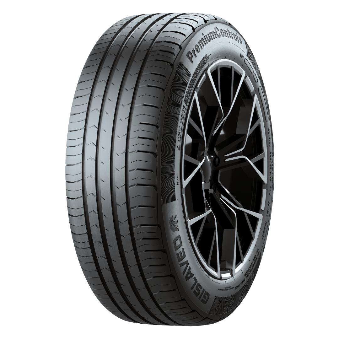 

Шина Gislaved Premium Control 195/65 R15 91H, Premium Control