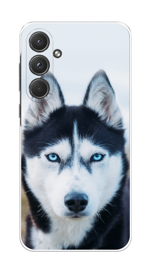 

Чехол на Samsung Galaxy A55 5G "Хаски 2", Синий;белый, 2109450-1