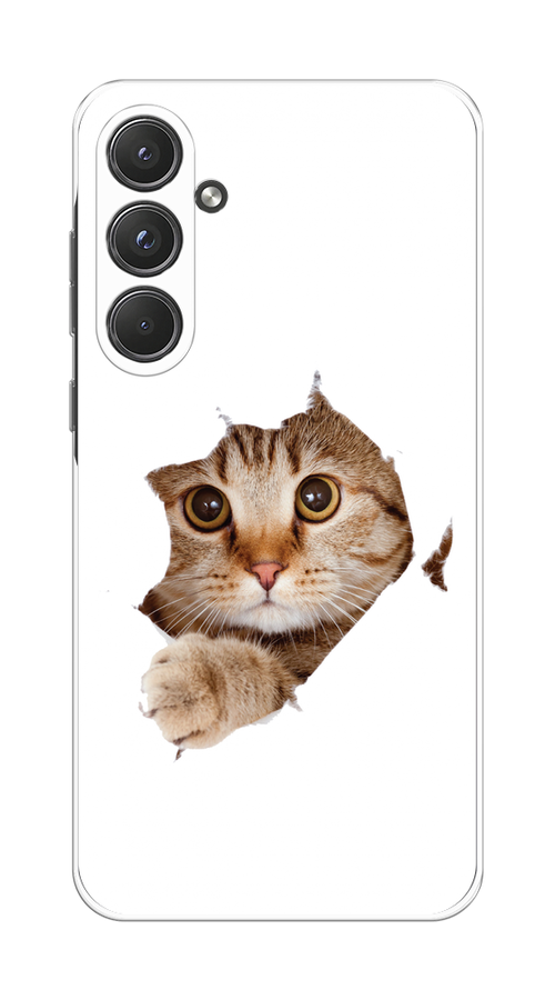

Чехол на Samsung Galaxy A55 5G "Кот и бумага", Белый;коричневый, 2109450-1