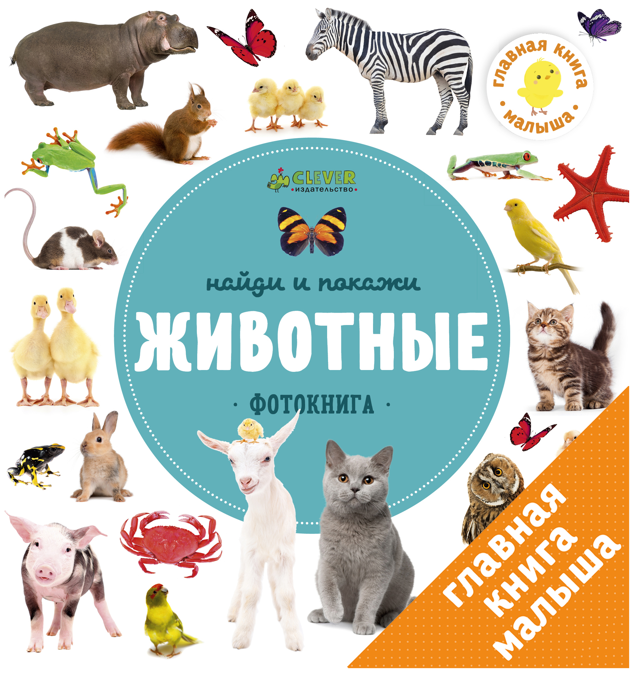 

Фотокнига найди и покаж и Животные