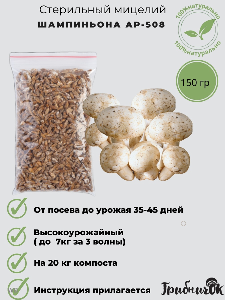Мицелий зерновой шампиньон Грибничок мгШ-1мгШ-1/150