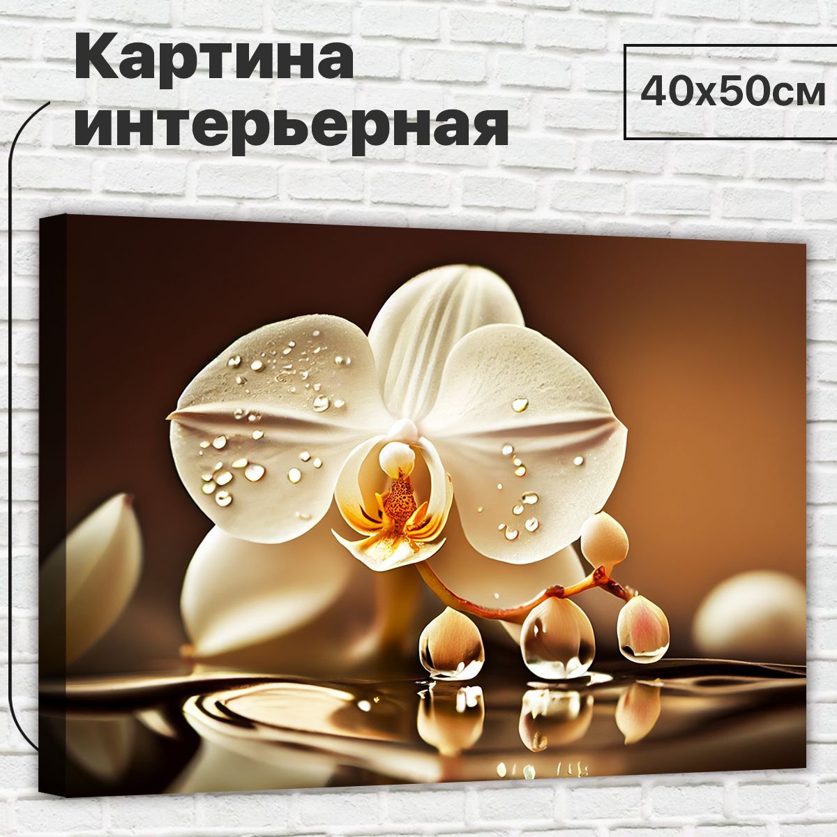 

Картина ДоброДаров Белая орхидея 40х50 см XL0368, XL0368