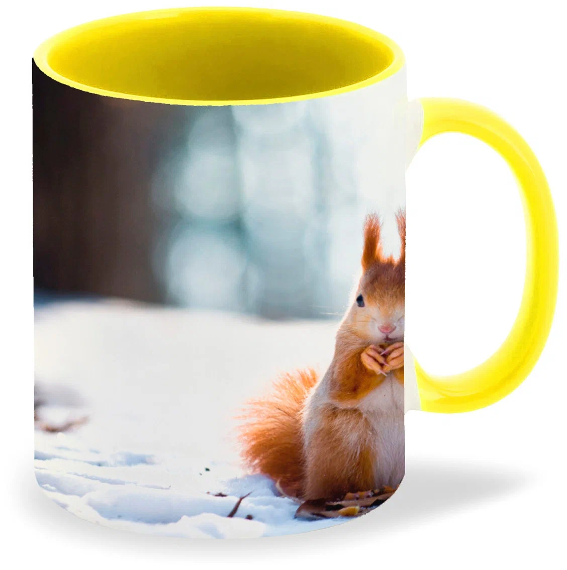 

Кружка CoolPodarok Белка на снежном фоне