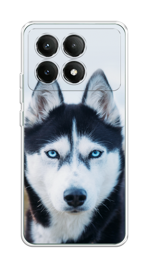 

Чехол на Poco X6 PRO 5G "Хаски 2", Синий;белый, 320950-1