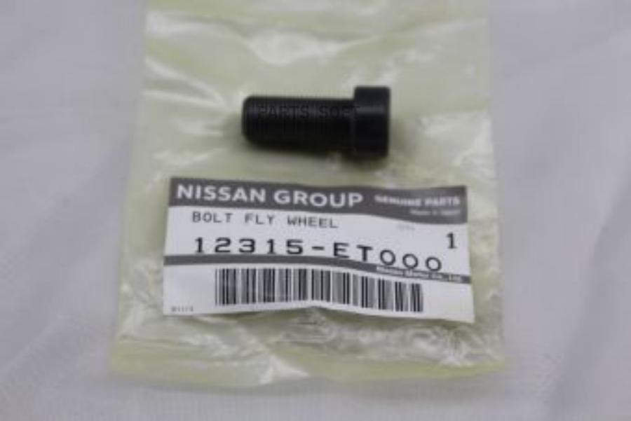 

Болт Крепежный Маховика Nissan Juke (F15) (2011>), Qashqai (J10) (2006-2014) NISSAN арт. 1