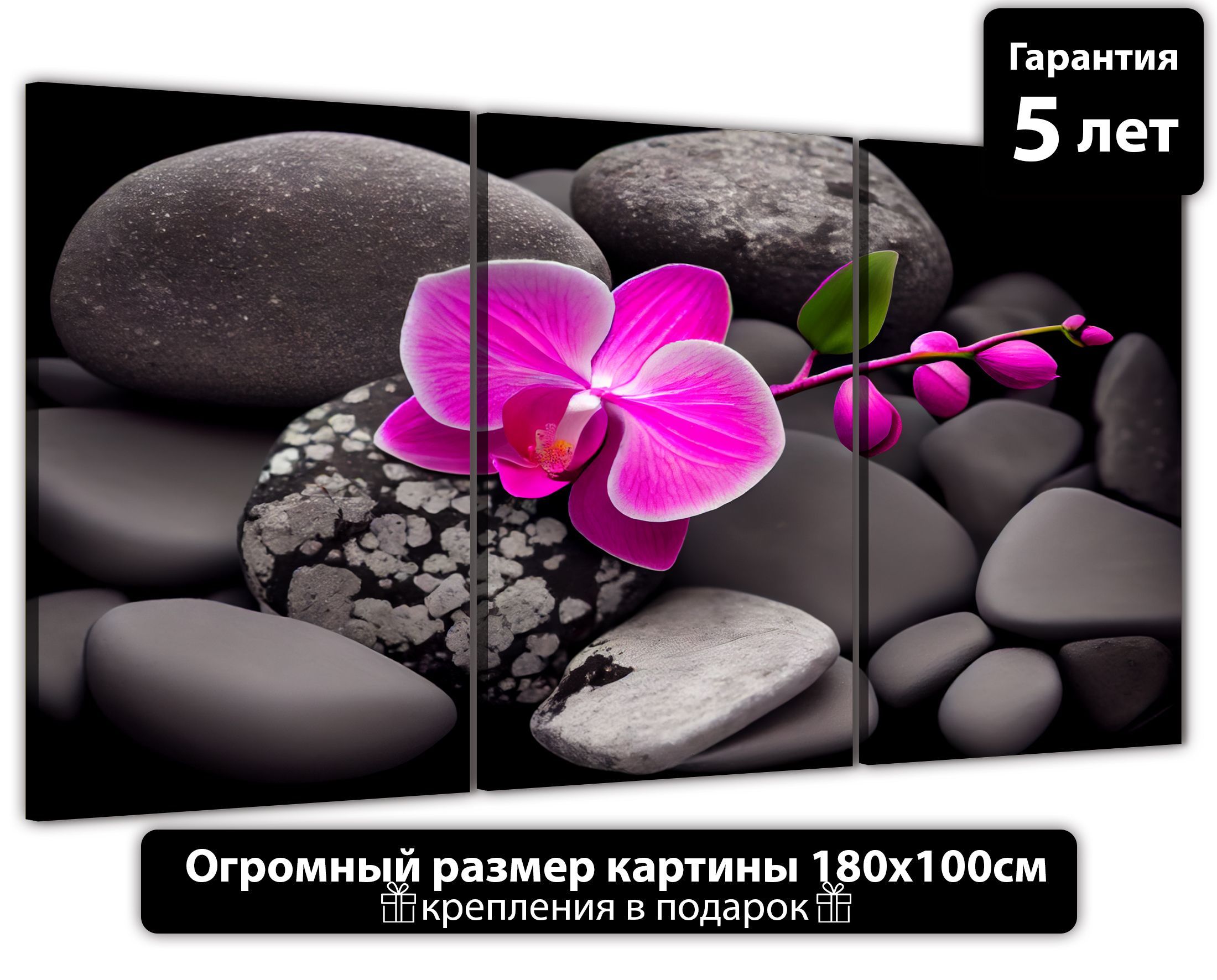 

Картина ДоброДаров Концептуальная орхидея 180х100 см ТРБ0354, ТРБ0354