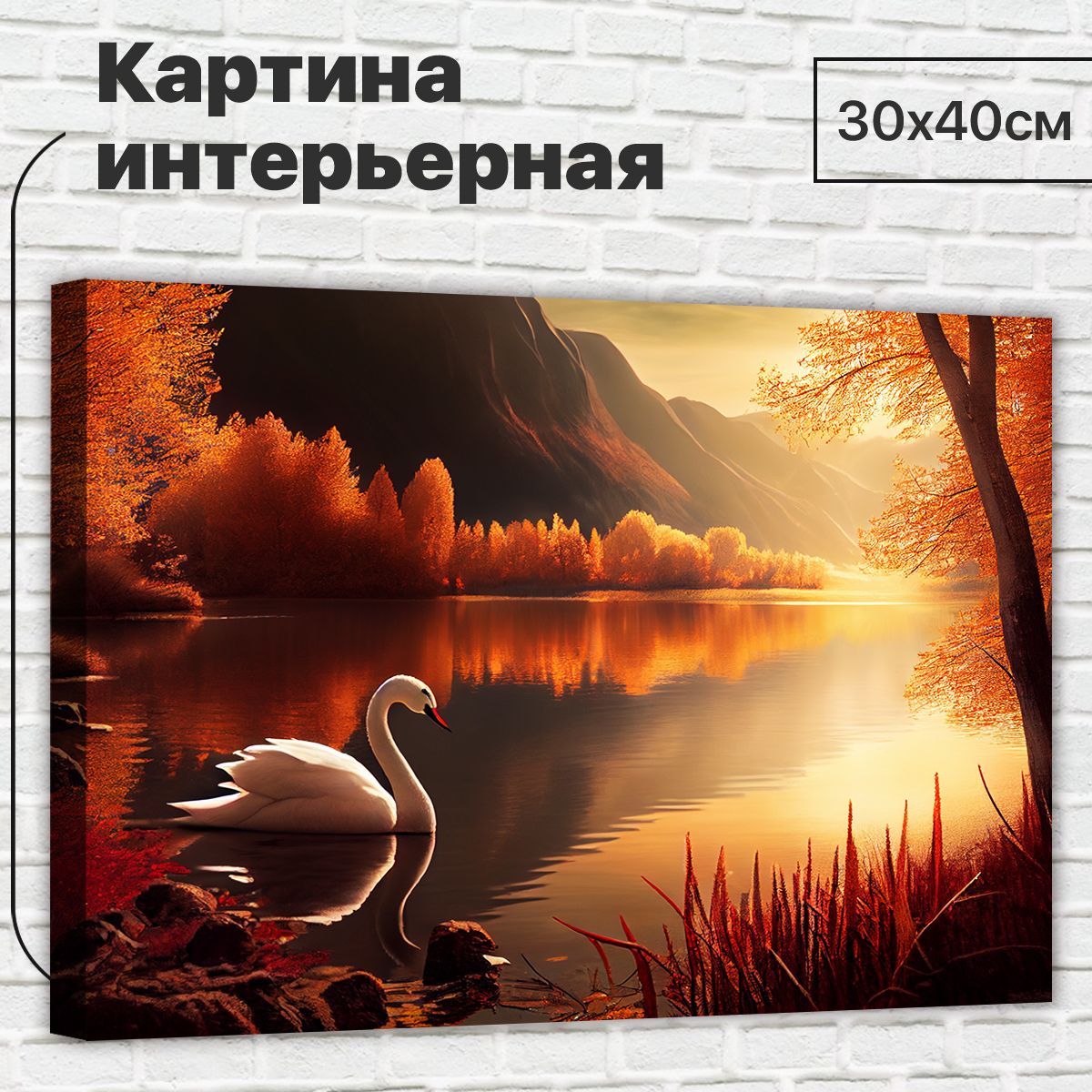

Картина ДоброДаров Лебедь на фоне пруда 30х40 см L0350, L0350