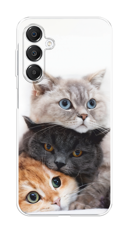 

Чехол на Samsung Galaxy A16 Пушистые мордашки, Серый;черный;оранжевый, 2110250-1