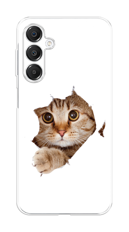 

Чехол на Samsung Galaxy A16 Кот и бумага, Белый;коричневый, 2110250-1