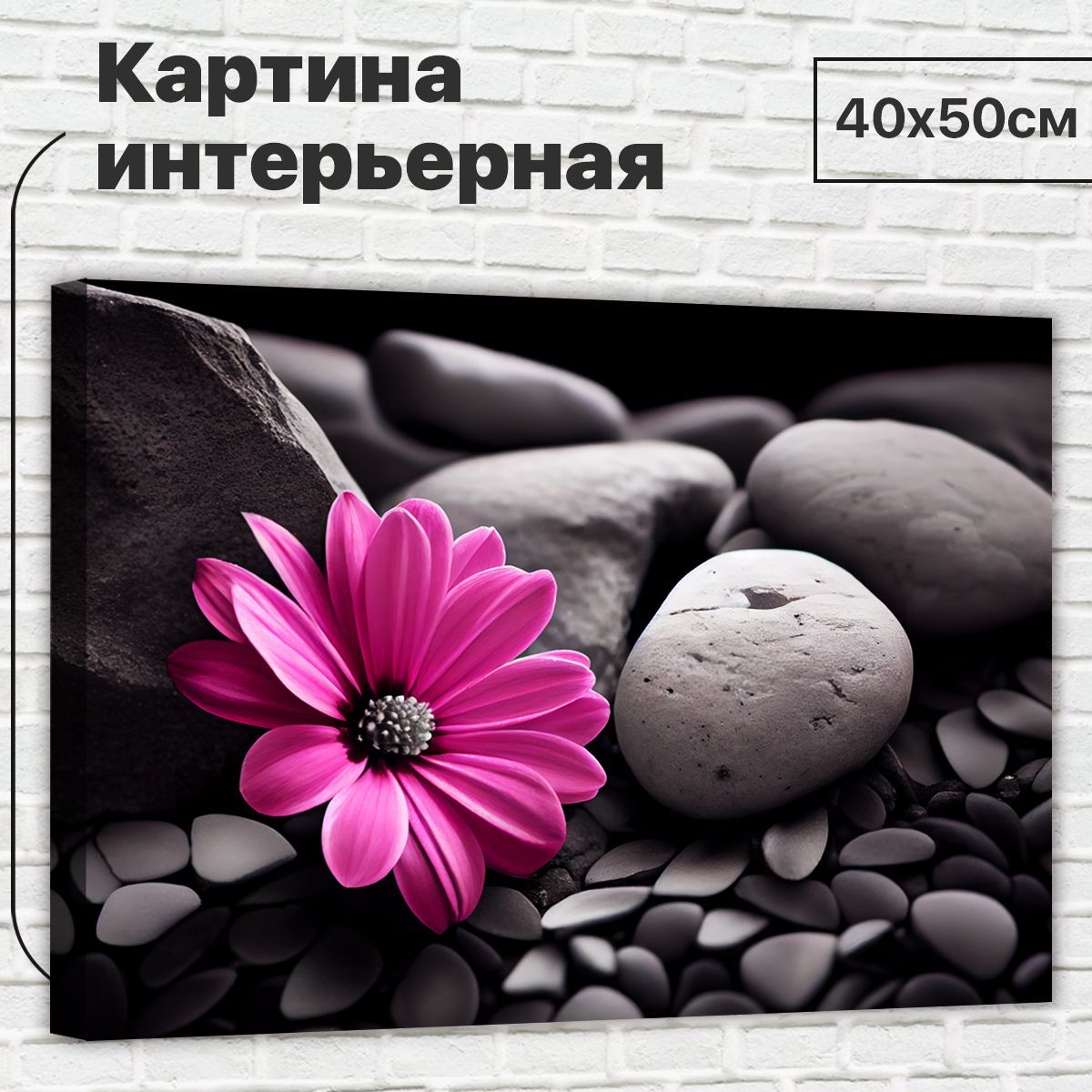 

Картина ДоброДаров Розовый цветок 40х50 см XL0355, XL0355