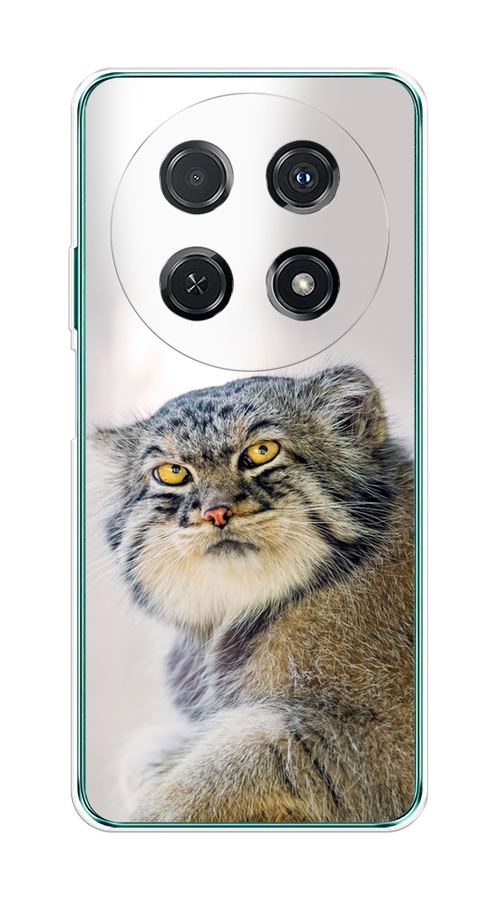 

Чехол на Huawei Nova 12i "Кот манул 1", Серый;белый;желтый, 6123950-1