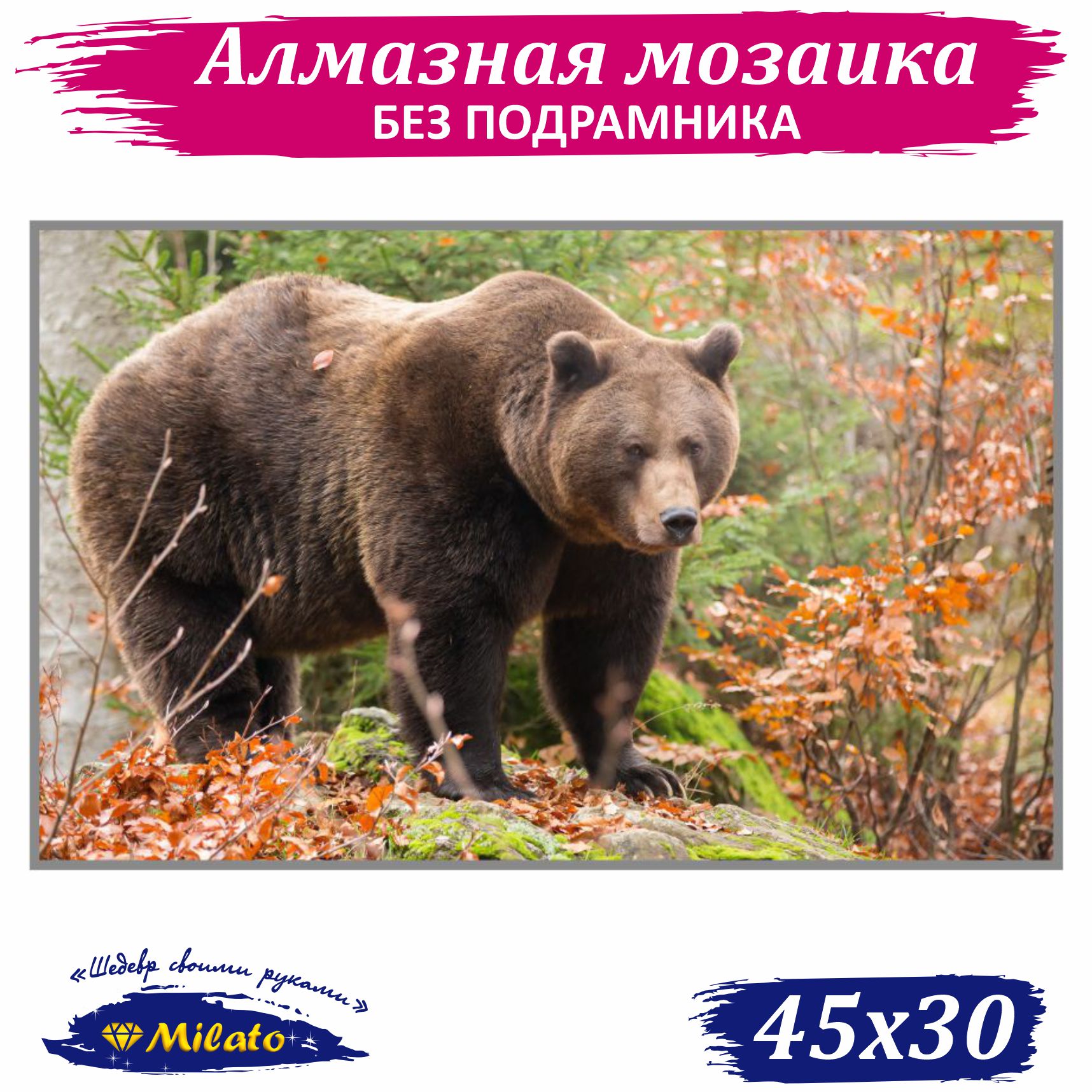 

Алмазная мозаика маленькая Milato Хозяин леса F-365 45х30 см, Хозяин леса