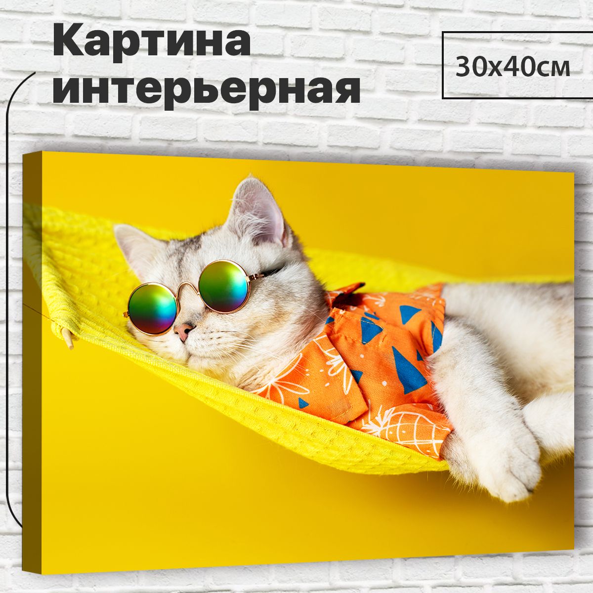 

Картина Кот, 30х40 см М0043 с креплениями, М0043