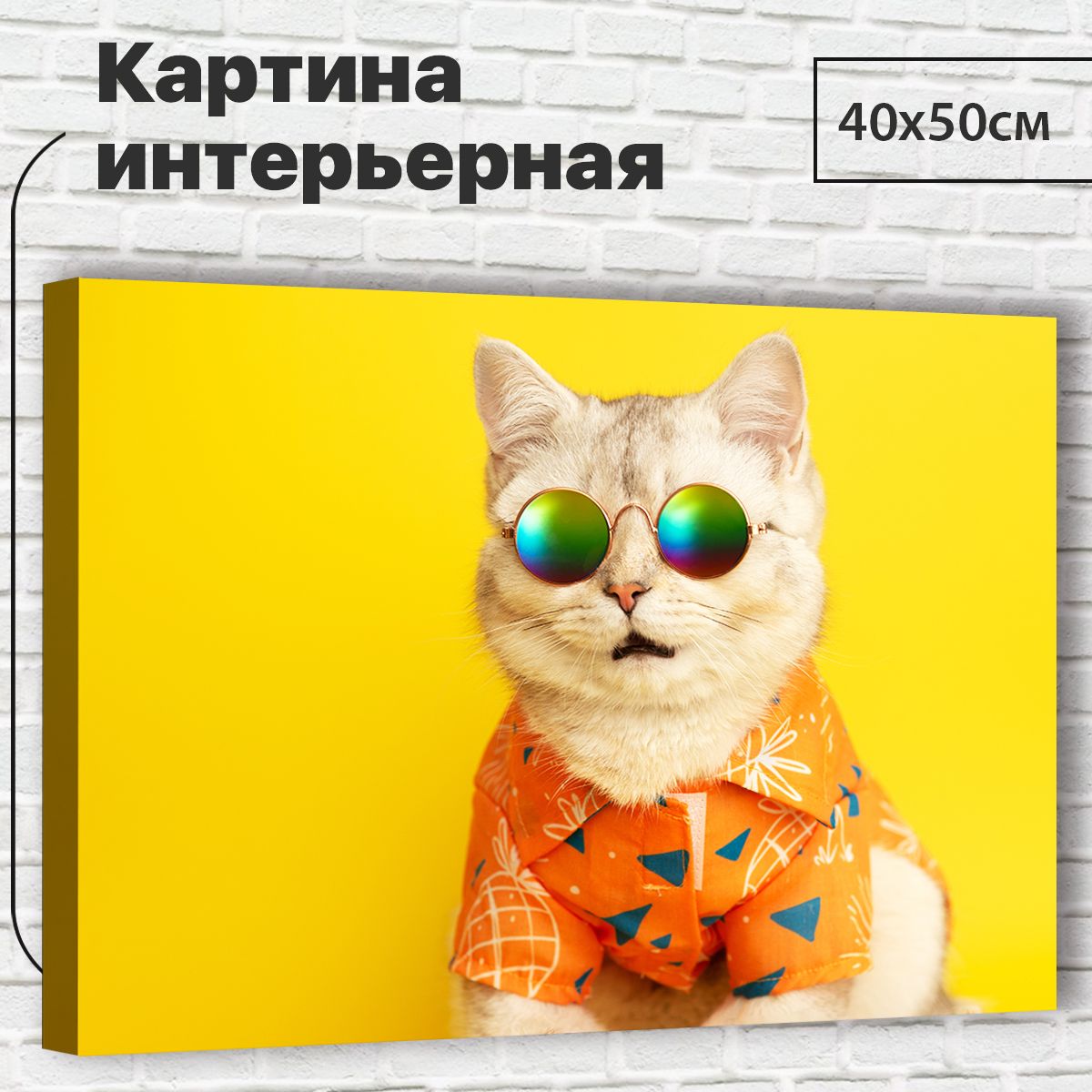 

Картина Котэ, 40х50 см XL0042 с креплениями, XL0042