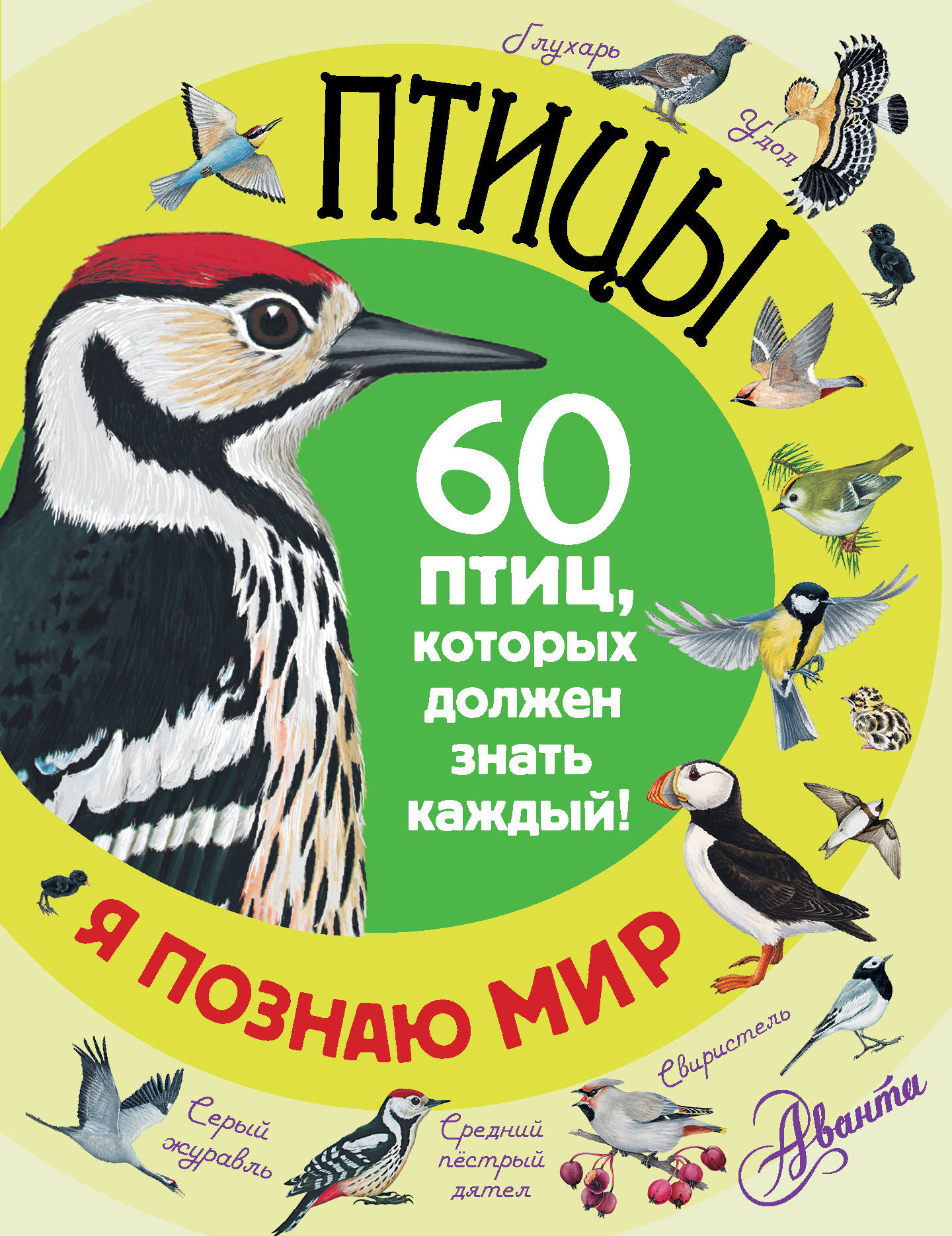 

Птицы