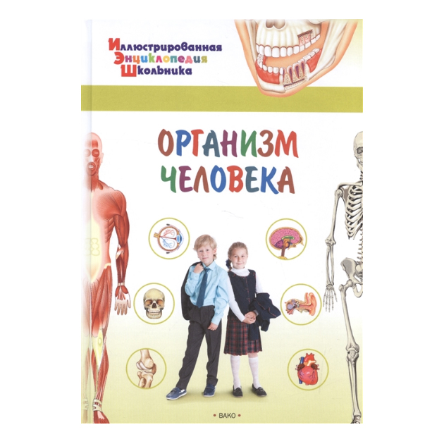 

Иллюстрированная Энциклопедия Школьника. Организм Человека. Орехов.