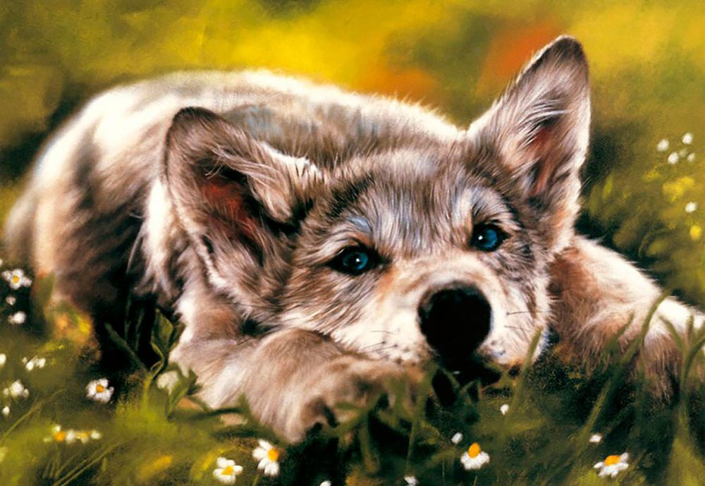 

Алмазная вышивка Алмазное Хобби Волчонок, 40x60 см, Волчонок