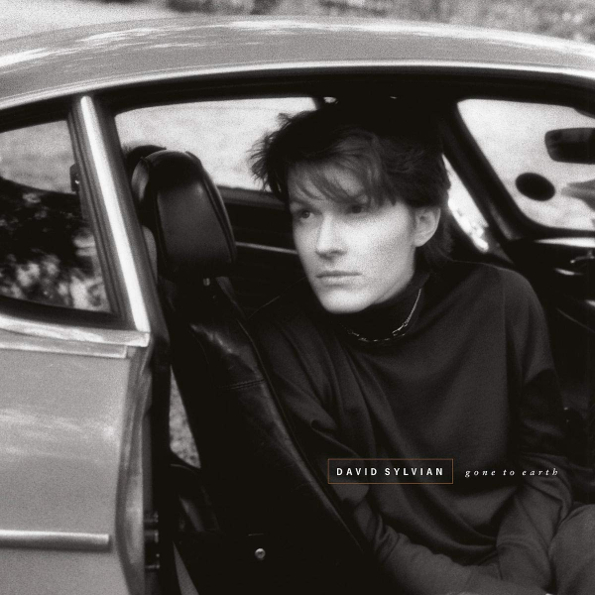 

David Sylvian Gone To Earth (2LP)