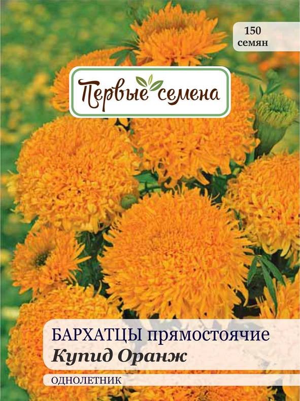 

Семена цветов Первые семена Бархатцы Купид Оранж прямостоячие, 0,5 г