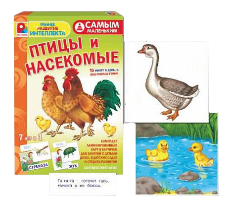 Семейная настольная игра Радуга Самым маленьким. Птицы, Насекомые