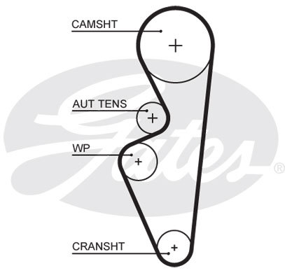 фото Ремень грм gates 5670xs