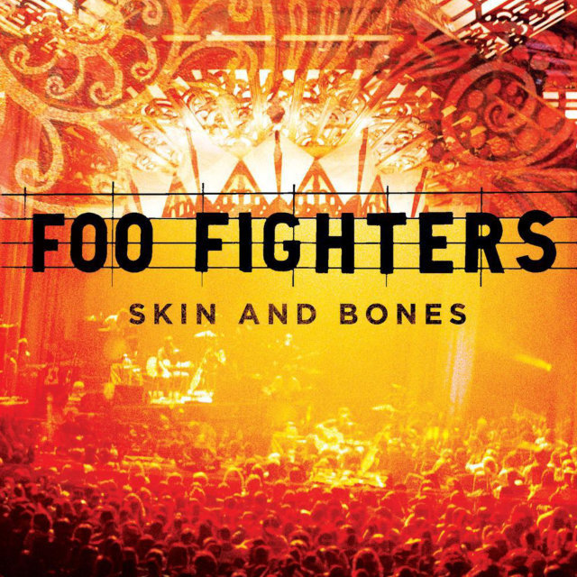Foo Fighters SKIN AND BONES (180 Gram)