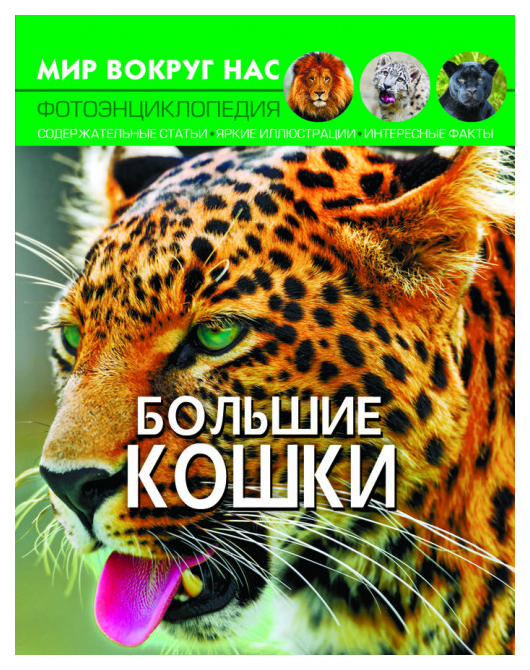 

Мир вокруг нас. Большие кошки