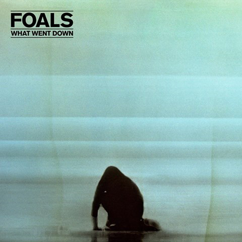 

Foals:What Went Down