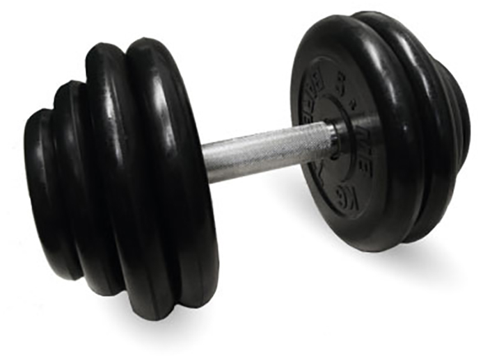 Неразборная гантель MB Barbell Профи 1 x 28,5 кг, черный