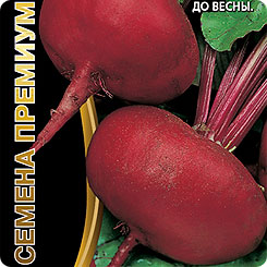 

Семена Свекла Черномор, 2 г, Уральский дачник, 219624