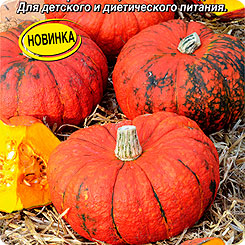 

Семена Тыква крупноплодная Кашевар, 0,2 г, АЭЛИТА, 217468
