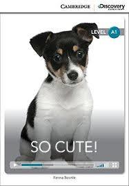 

CDE A1: So Cute! Bk +Online Access