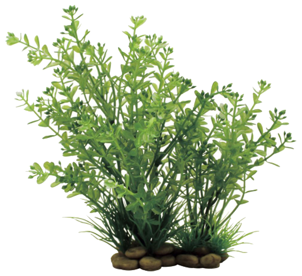 

Искусственное растение для аквариума ArtUniq Rotala 20, пластик, Rotala 20