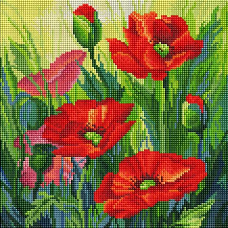 

Алмазная вышивка Белоснежка Красные маки, 30x30 см, Красные маки