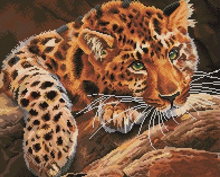 

Алмазная вышивка Painting Diamond Грустный леопард, 40x50 см, Грустный леопард