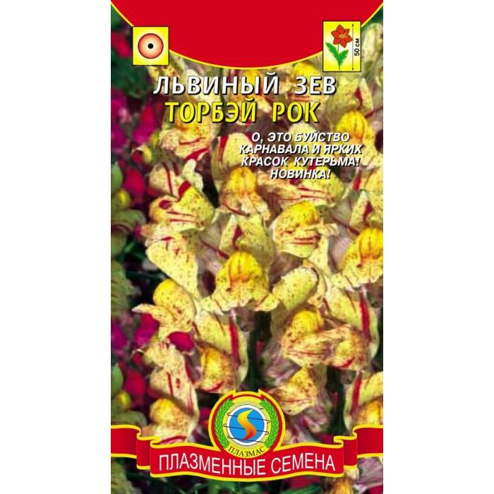 

Семена Львиный зев Торбэй Рок, 0,05 г Плазмас