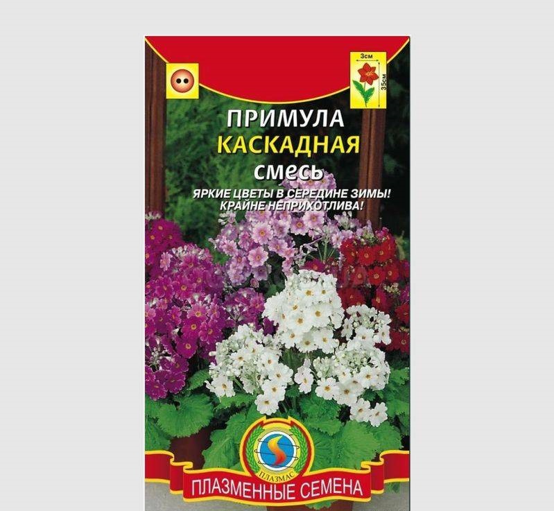 

Семена Примула каскадная Яркая смесь, 18 шт, Плазмас