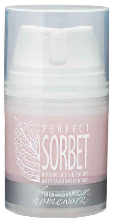 Крем для лица Premium Homework Perfect Sorbet 50 мл erborian крем дневной увлажняющий юзу сорбет yuza sorbet