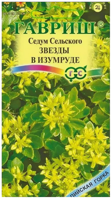 

Семена Седум Звезды в изумруде сельскианум, 0,01 г Гавриш