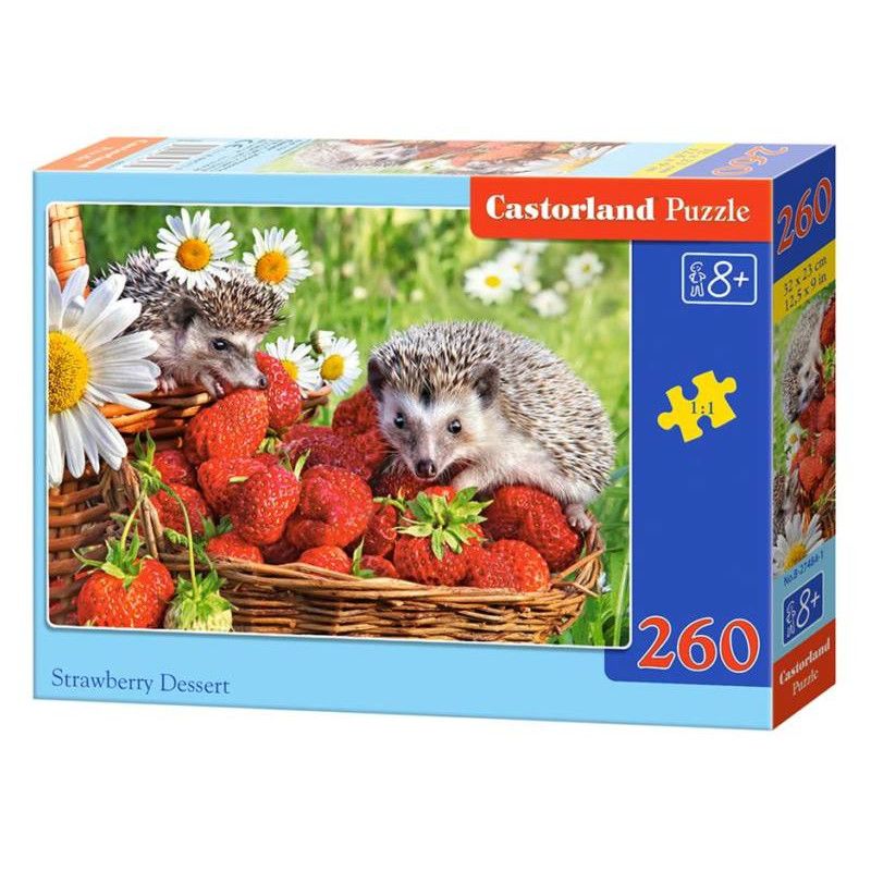 

Пазл Castorland летний пейзаж 260 деталей