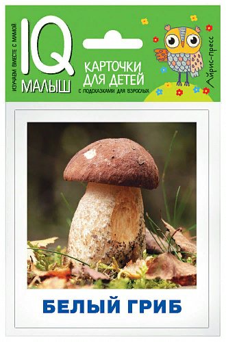 

Грибы наших лесов. 14 карточек, 1733417