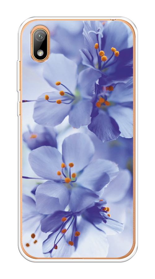 

Чехол на Huawei Y5 2019/Honor 8S/8S Prime "Фиолетовые цветки", Фиолетовый;синий, 6103950-1