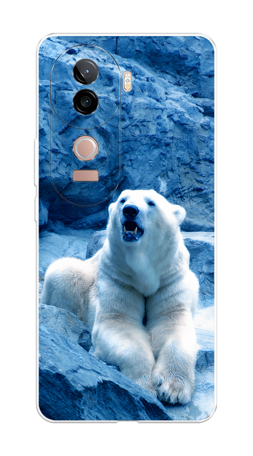 

Чехол на Vivo V40e Белый медведь, Голубой;белый, 2611950-1