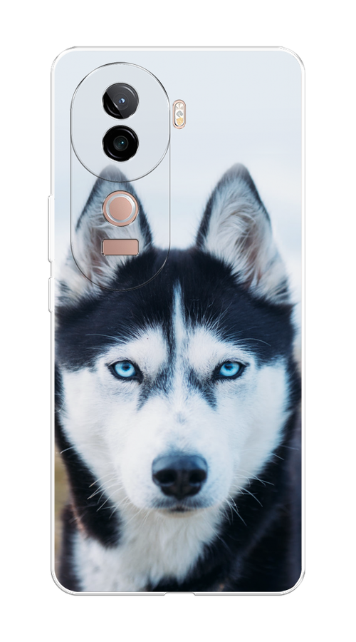 

Чехол на Vivo V40e Хаски 2, Синий;белый, 2611950-1