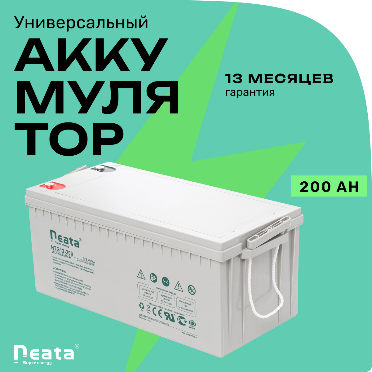 Аккумуляторная батарея Neata NTG12-200