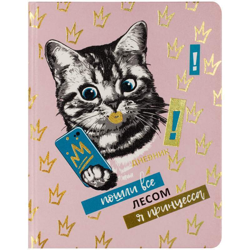

Дневник BG "Я принцесса!" 335916, 1-11 кл. (универсальный), 48л., 2 шт., Разноцветный, 335916